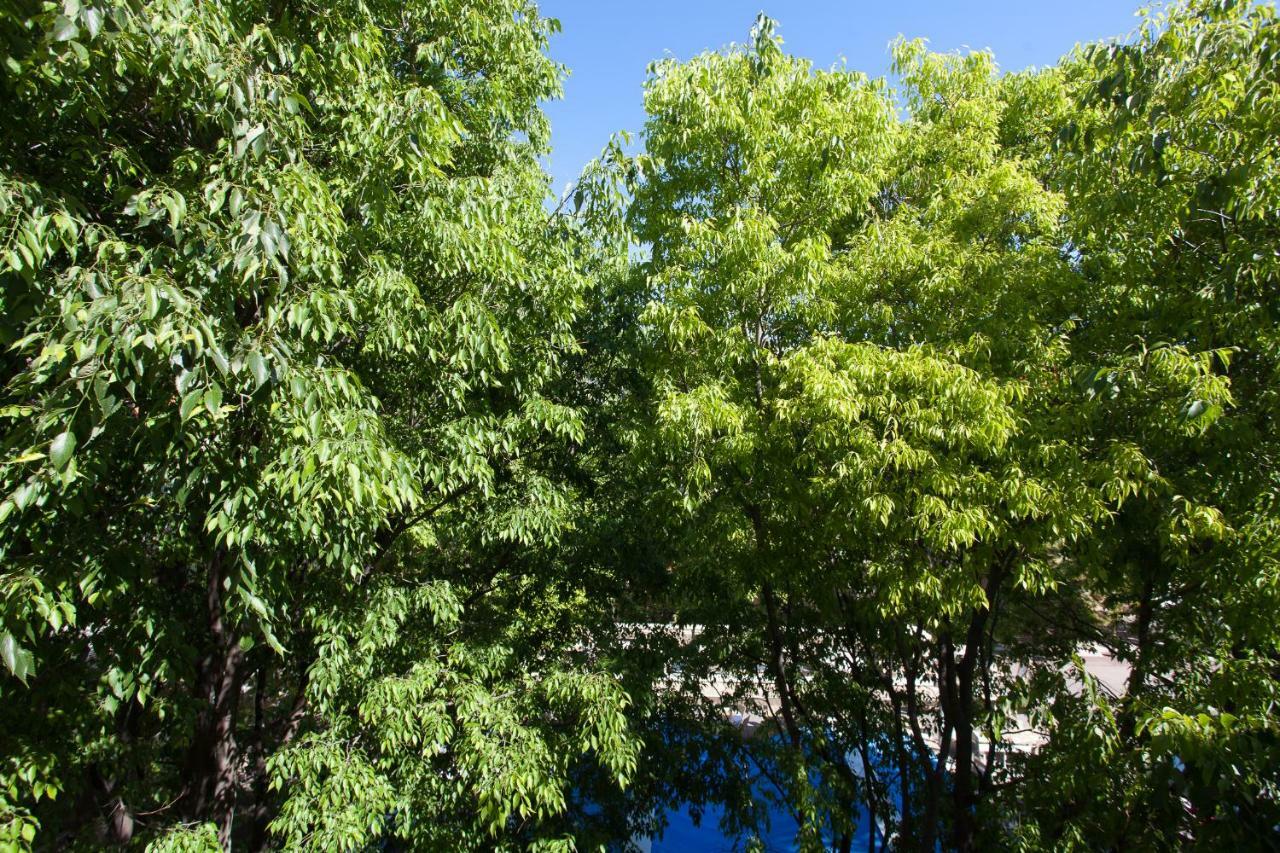 Superbe Loft Vieil Appartement Antibes